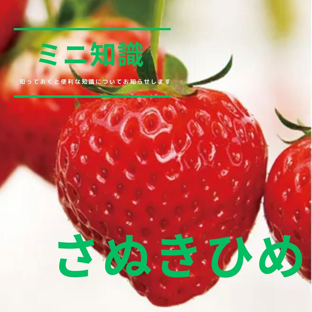 ミニ知識】香川県産「さぬきひめ」 | 【公式】和菓子・洋菓子の